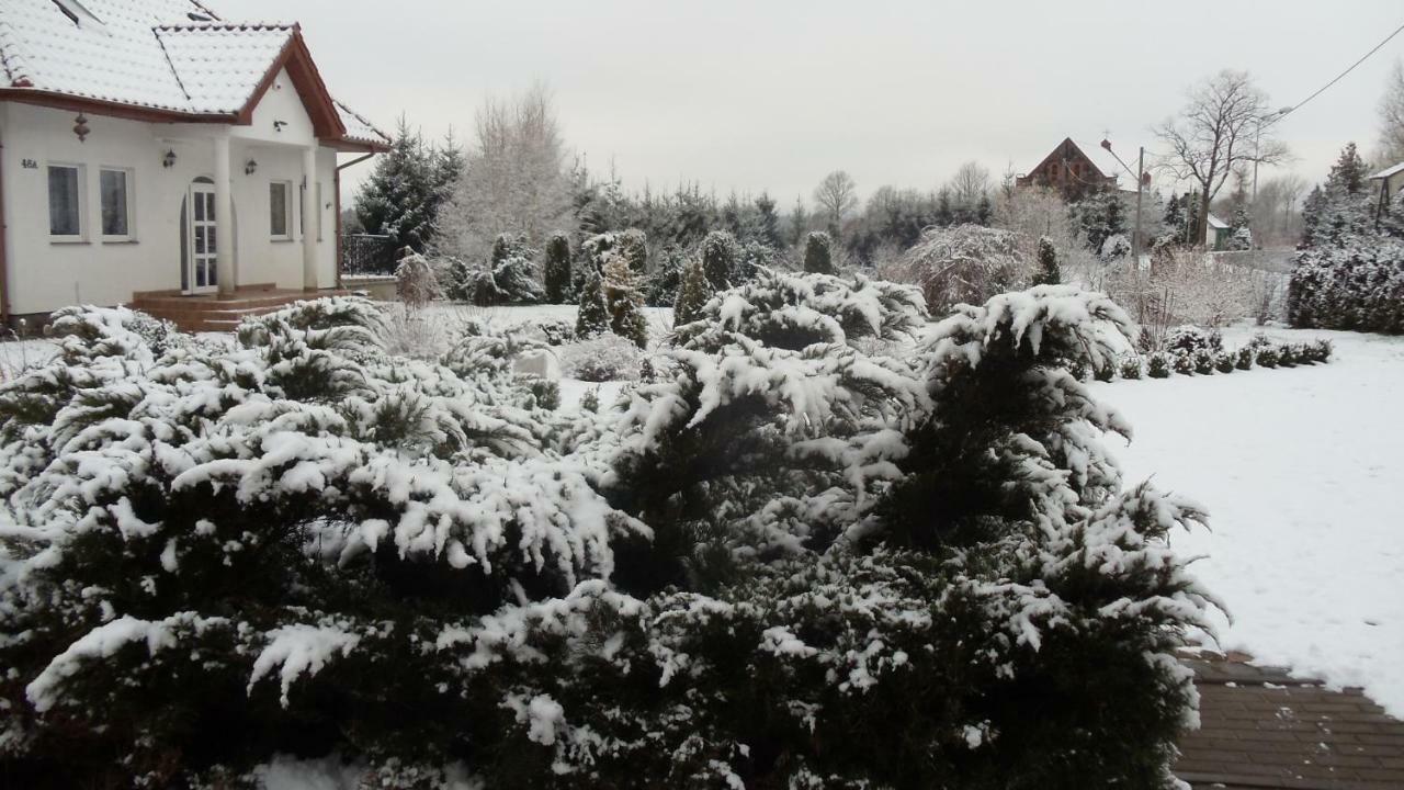 Agroturystyka 'Milena' Ostropole Buitenkant foto